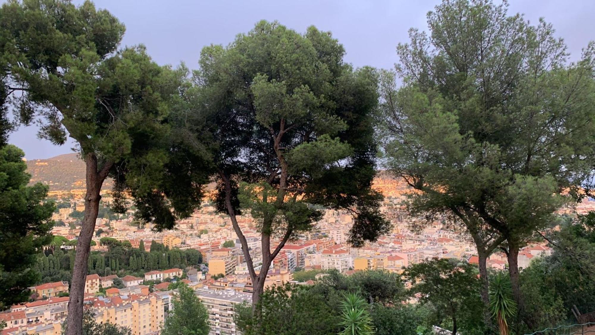 Chambre D Hote Avec Clim Terrasse Et Petit Dejeuner Hauteurs De Nice Ngoại thất bức ảnh