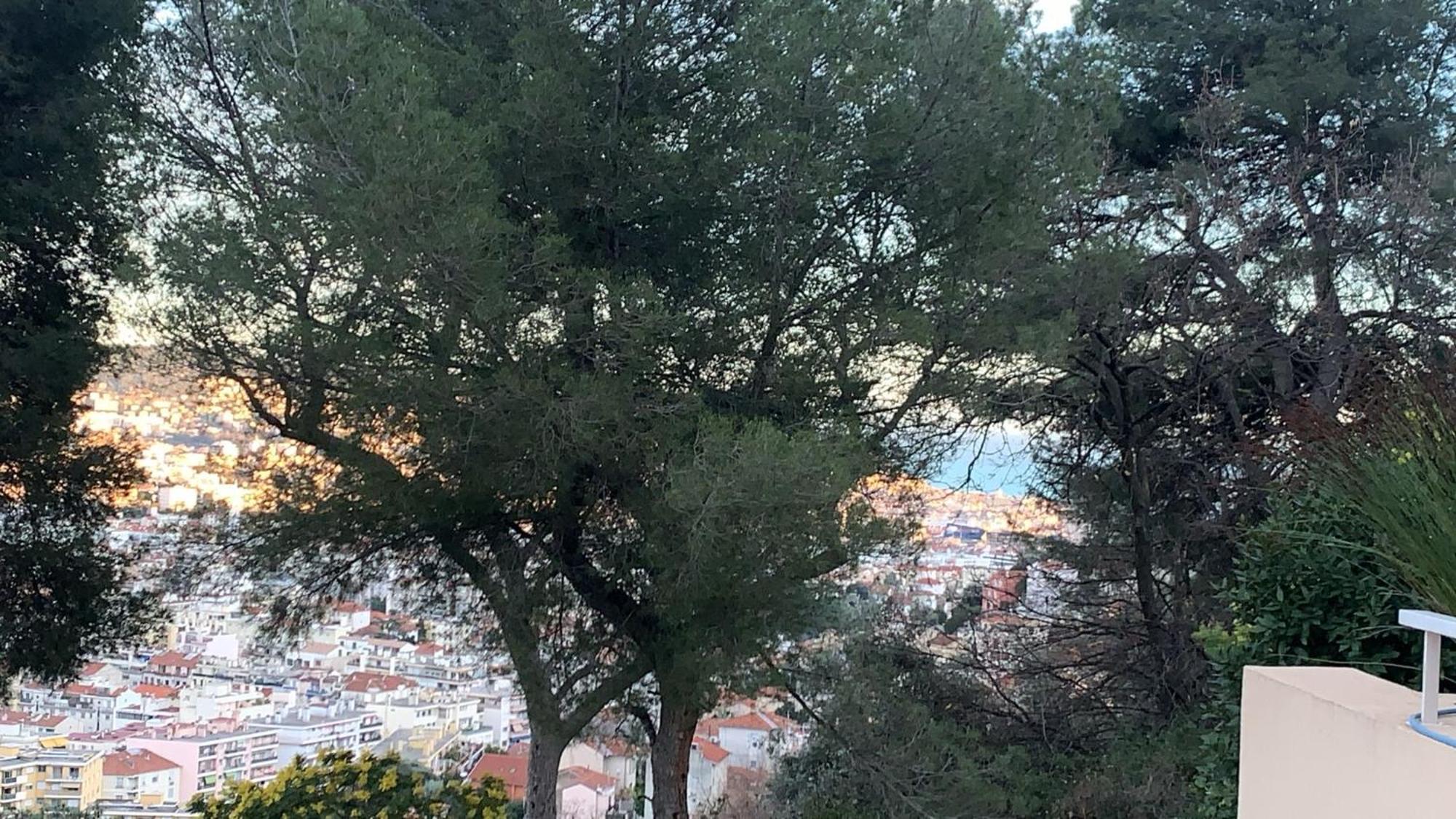 Chambre D Hote Avec Clim Terrasse Et Petit Dejeuner Hauteurs De Nice Ngoại thất bức ảnh